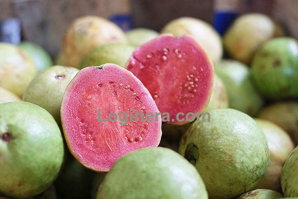 Wellhealthorganic.com5 Amazing Health Benefits of Guava